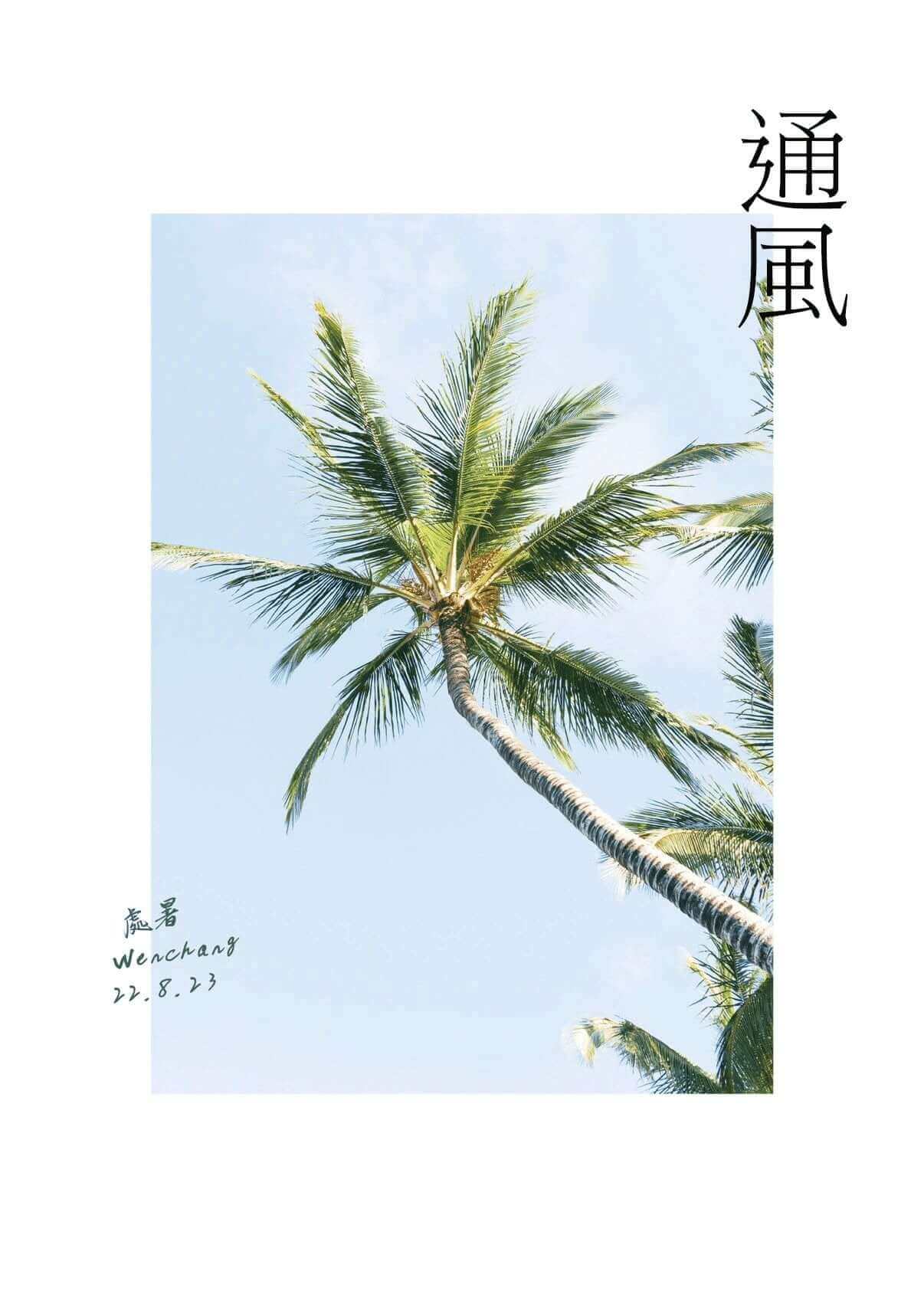 椰說|通風 - YEETREE COCONUT