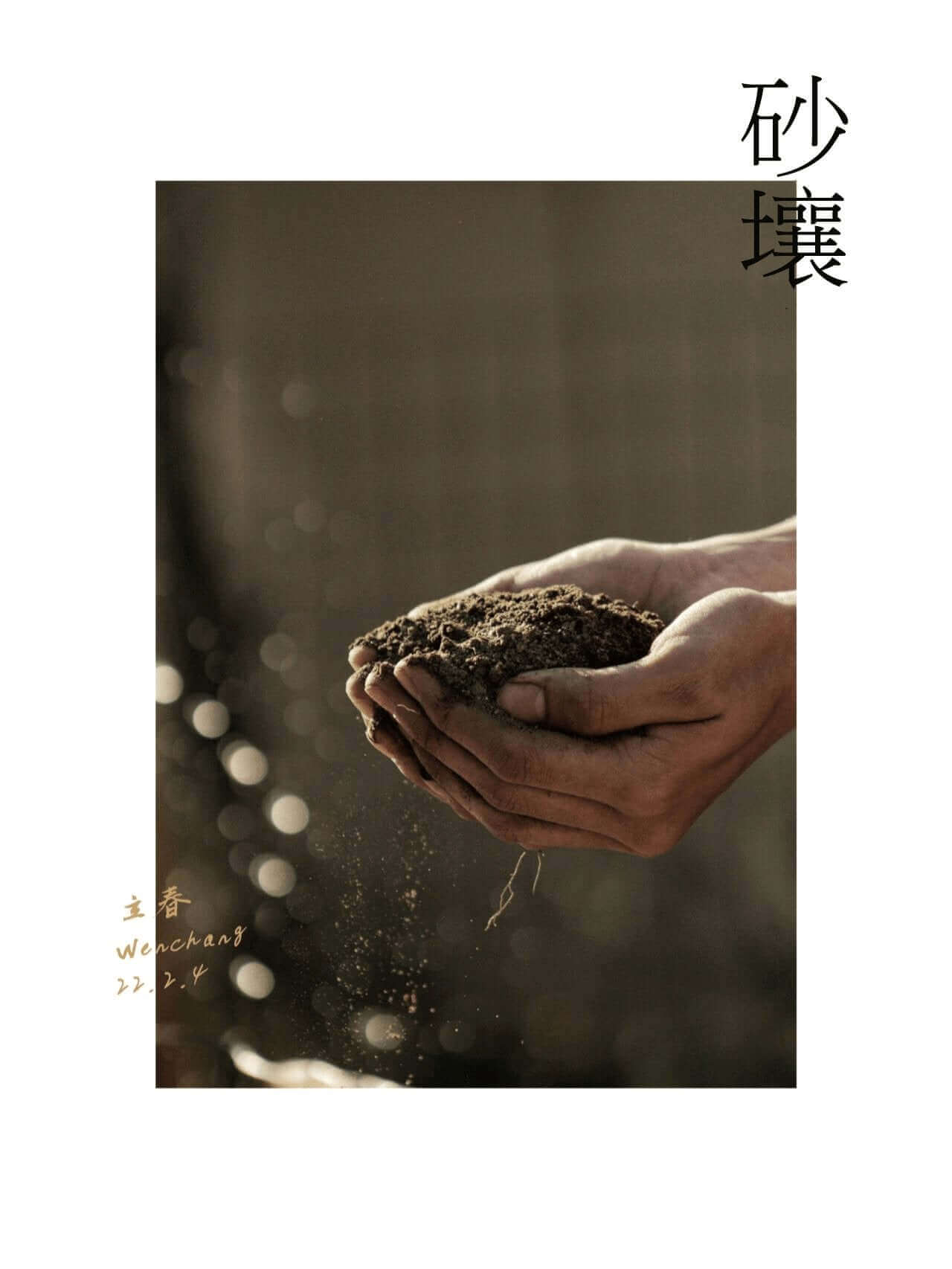 椰說|砂壤 - YEETREE COCONUT