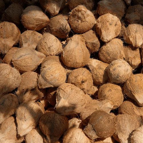 地表最強椰奶 - 生椰乳，內行人才知道的〝明星原料〞生打椰 - YEETREE COCONUT